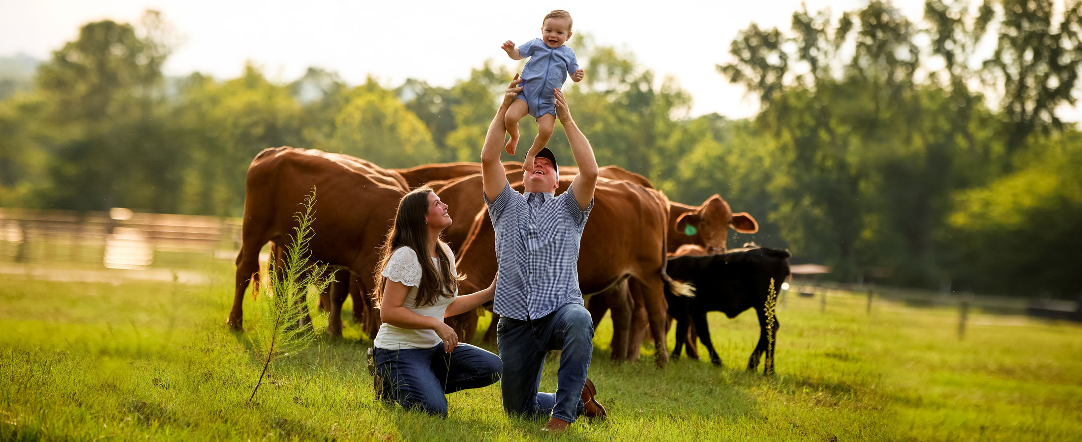 A husband and wife pose, holding their son in front of a herd of red cattle.